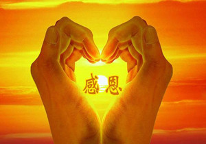 1647930406175537.jpg 1647181362189111.jpg